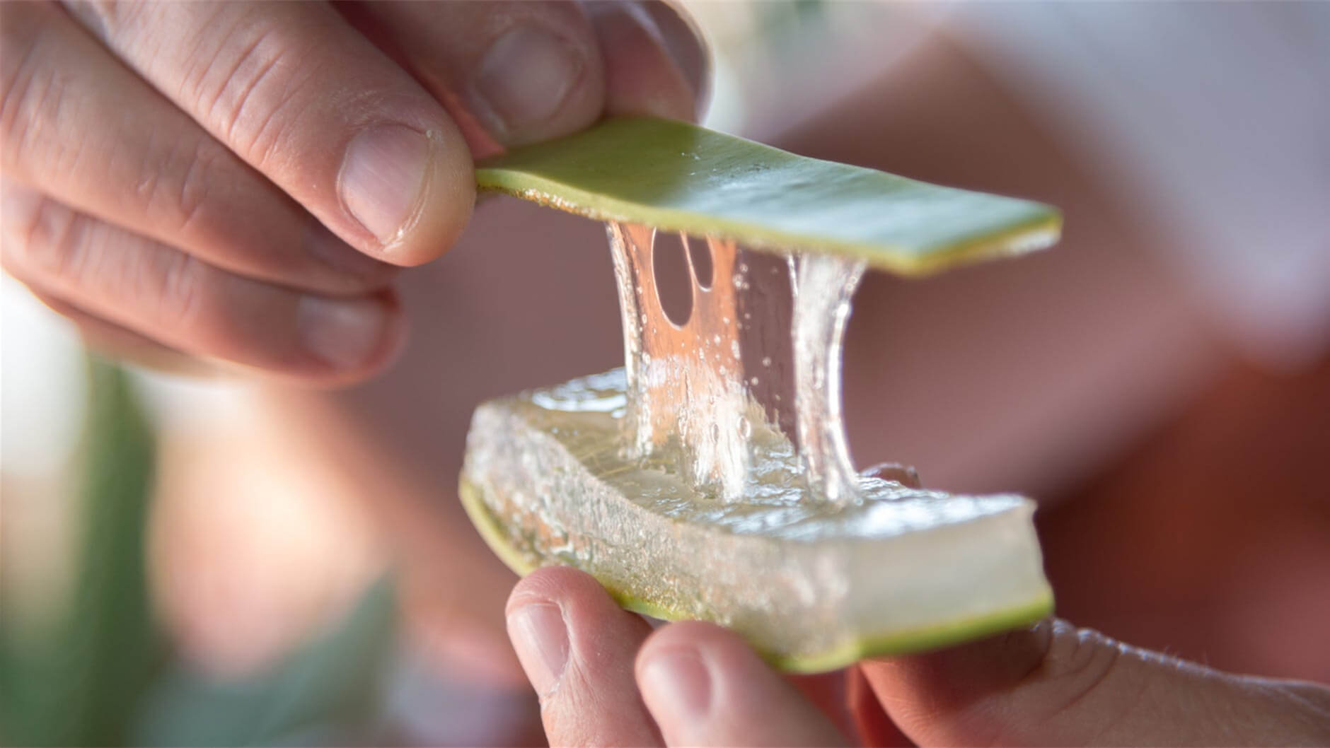 do condoms have lubrication inside Can You Use Coconut Oil With Sex Toys? – Amovibe
