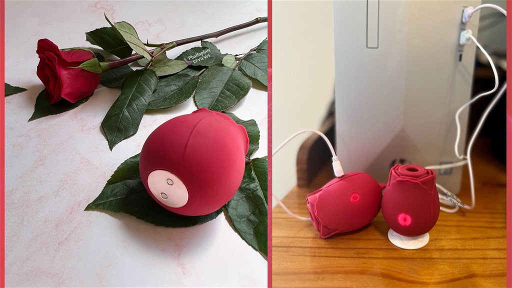 How Can I Charge My Rose Toy Without a Charger? Amovibe How Can I Charge My Rose Toy Without a Charger? Amovibe