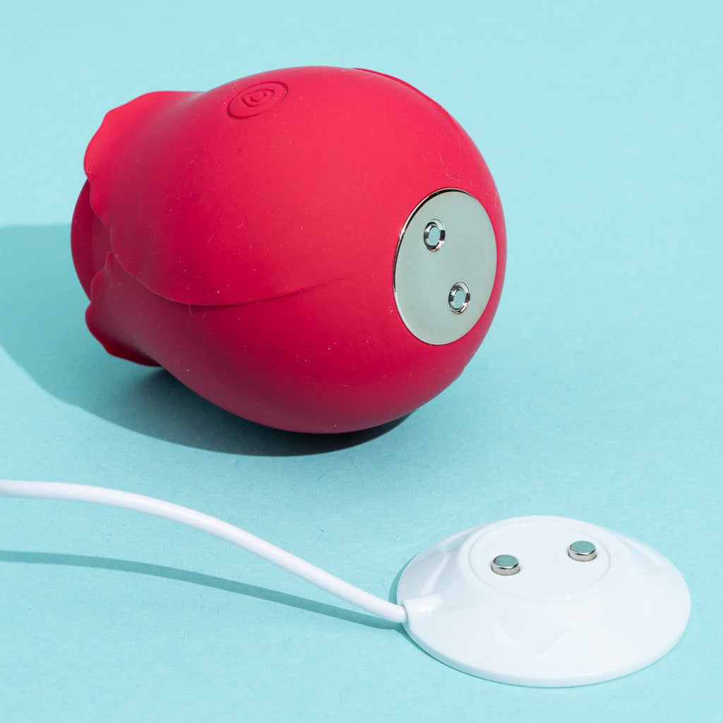 Rose Toy Review - How Long Does the Rose Toy Take to Charge? – Amovibe