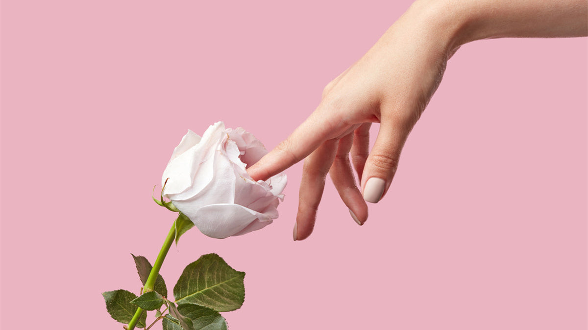 Rose Vibrator